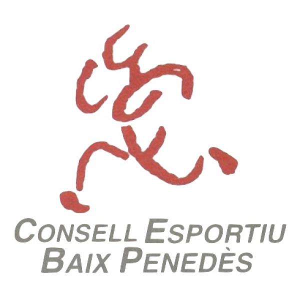 Acompanyament en la inclusió fora escola / Associació Trèvol